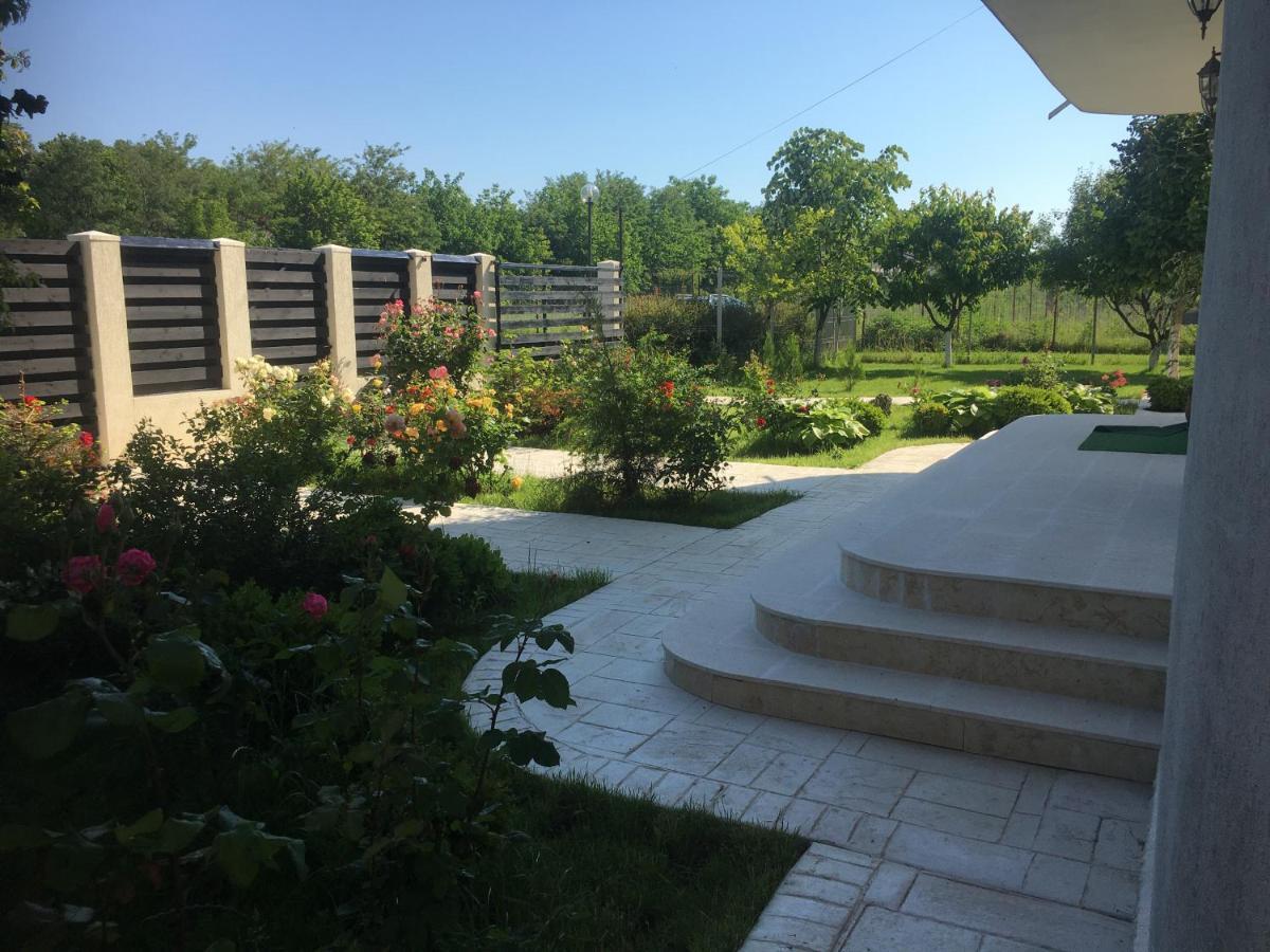 Vila Zoe Bucharestairport&Therme&Parking Otopeni Bagian luar foto